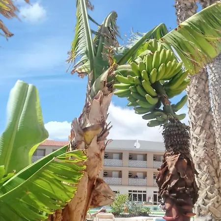 Cosy With Terrace And Pool 55 M² Costa del Silencio